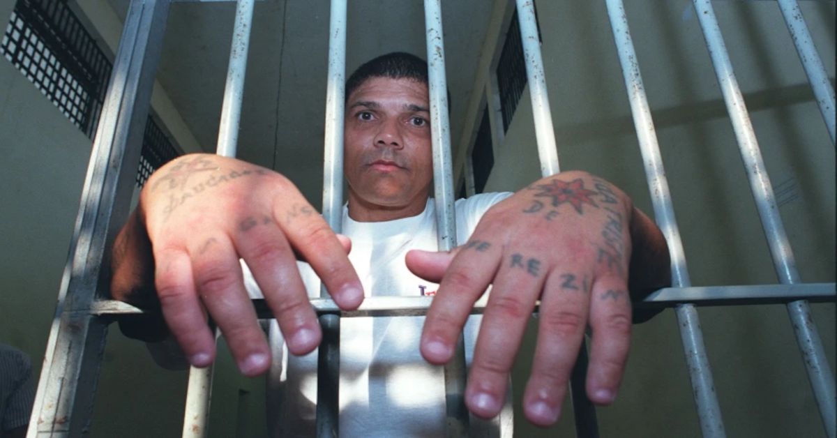 Perguntas e respostas sobre o atentado que tirou a vida do homem considerado o maior serial killer do Brasil 31 FN+