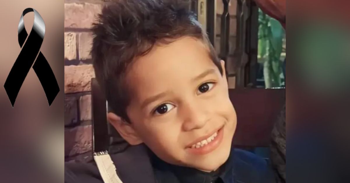 ‘É enterrar uma parte de nós’, desabafa mãe menino de 5 anos que foi atacado por animal peçonhento dentro da escola 31 FN+