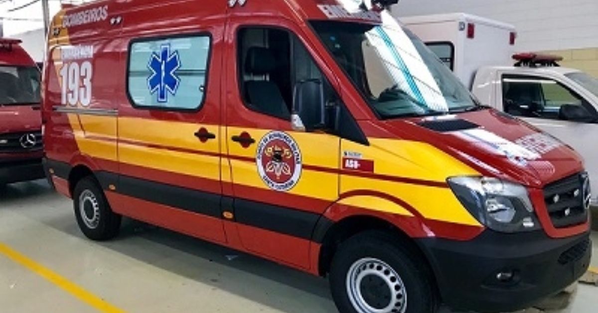 Idosa vai parar no hospital após cachorro invadir seu quintal 31 FN+