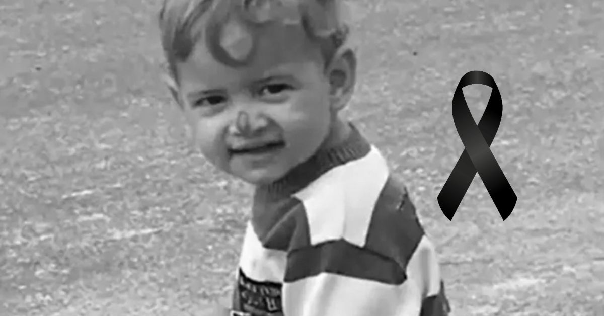 Menino de 2 anos perde a vida ao ser atacado por filhote de pitbull 31 FN+