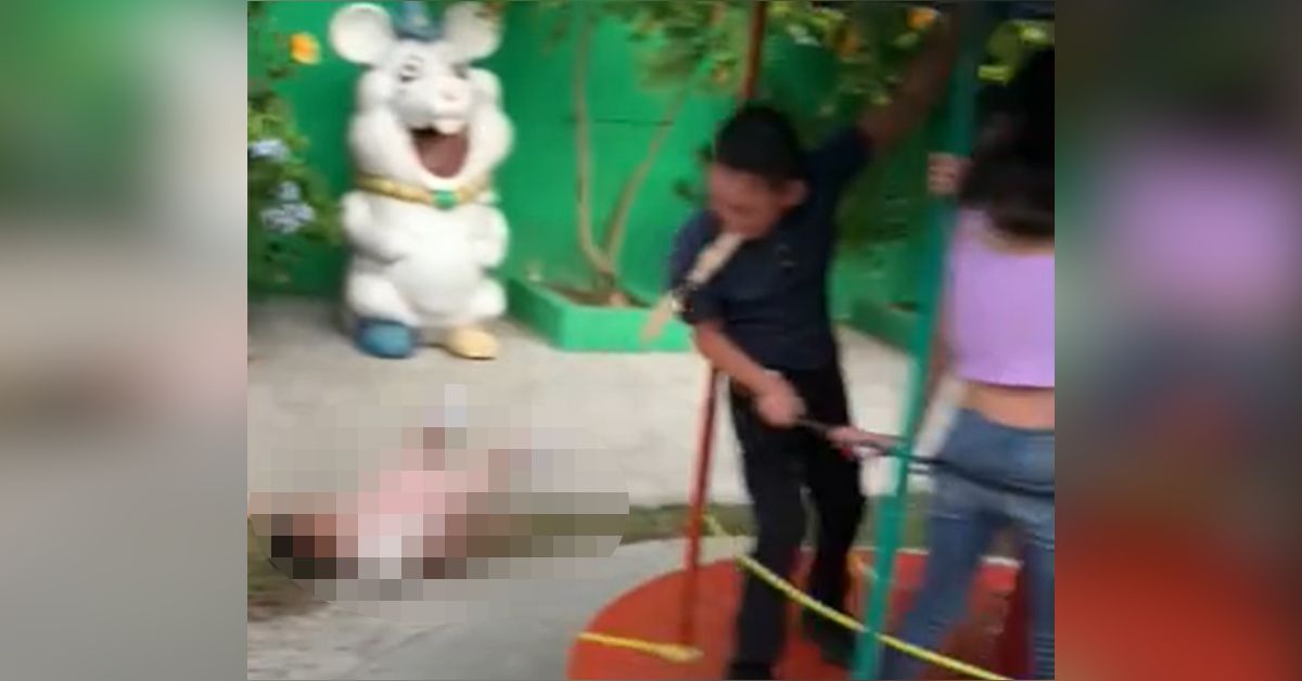 Brincadeira em carrossel vira um grande pesadelo – Imagens viralizam 31 FN+