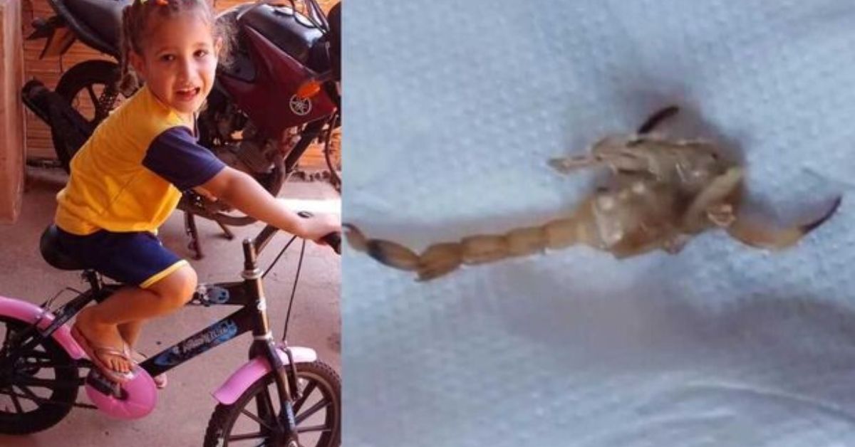 Mãe de menina de 3 anos vítima de escorpião no MS desabafa: 'Deixou saudade demais' 31 FN+