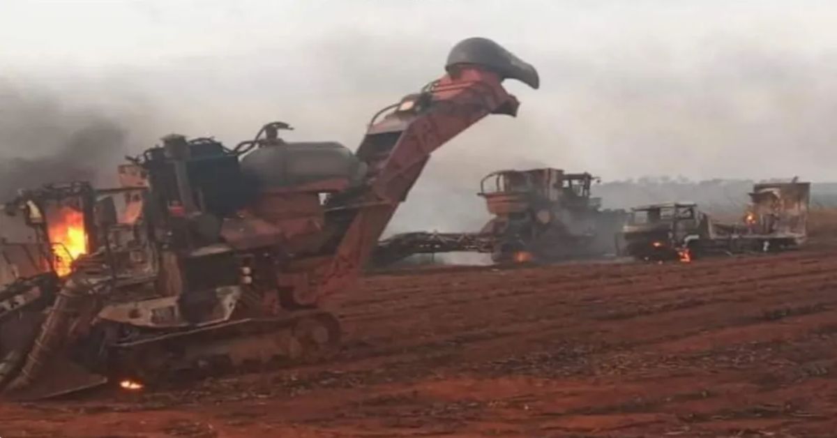 Tragédia em GO: Trabalhadores são engolidos pelo fogo em canavial que deixou vítimas fatais e rastro de destruição 31 FN+