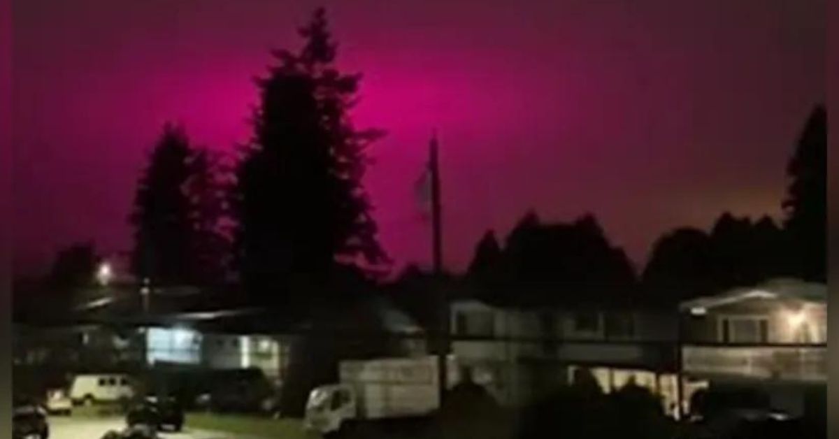 Céu do Canadá fica rosa durante a madrugada e explicação pega internautas de surpresa 31 FN+