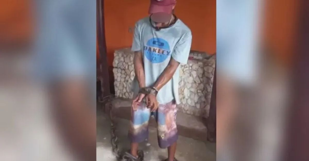 'Vai ficar na minha senzala' 31 FN+