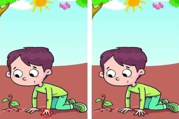 1717675656 794 Essa imagem tem apenas uma diferenca e e possivel achar