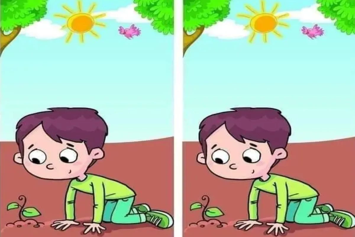 Essa imagem tem apenas uma diferença e é possível achar em menos de um minuto 34 1News Brasil