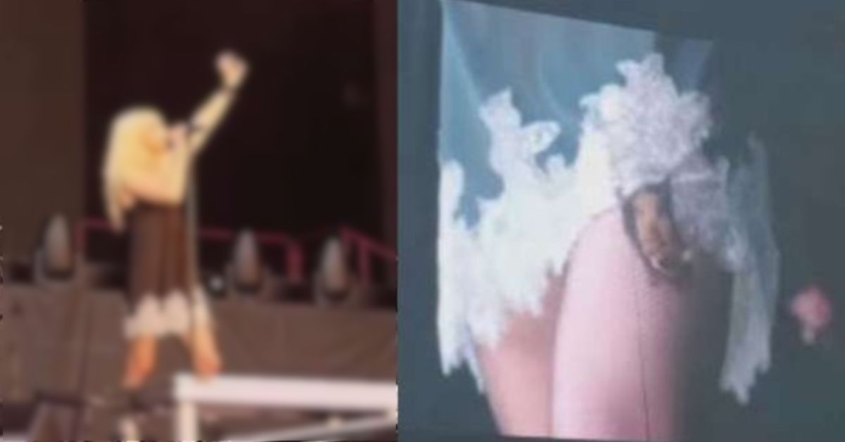 Quem é a cantora que foi mordida por morcego em cima do palco durante show 31 FN+