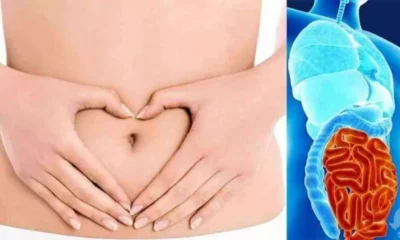 Sintomas de intestino intoxicado Fique atento e veja como.webp