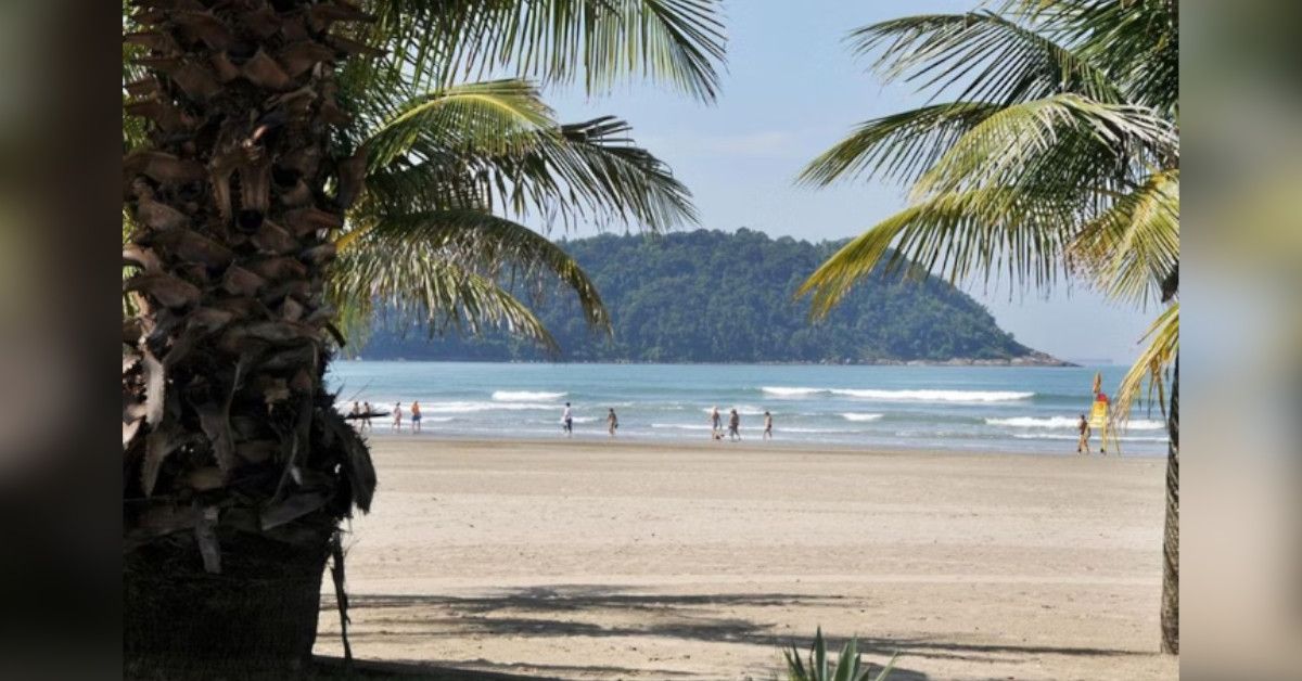 Buscas por turista de 18 anos que estava desaparecido têm final trágico no litoral de SP 31 FN+