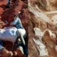 Fossil de dinossauro e encontrado exposto apos chuva e enchente.webp