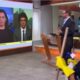 funcionaria da limpeza aparece em transmissao ao vivo 1000x600.jpg