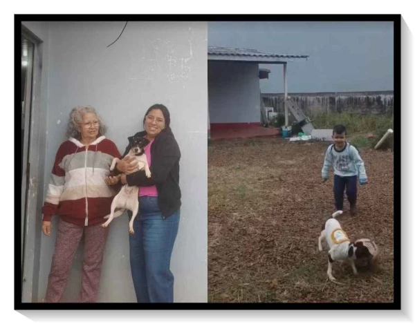 1723317209 771 Cachorrinha estava no aviao que caiu em SP com venezuelanas