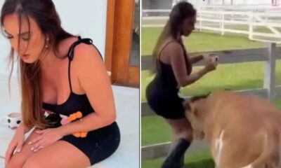 1723367970 Nicole Bahls Sofre Ataque de Vaca e Mostra Hematomas Estou.webp.jpeg