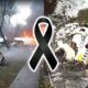 1News Brasil