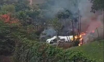 1News Brasil