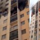 1News Brasil