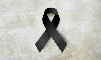 1News Brasil
