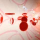 A fruta que remove acucar do sangue e contribui.webp