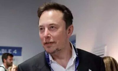 musk 1.jpg