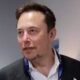 musk 1.jpg