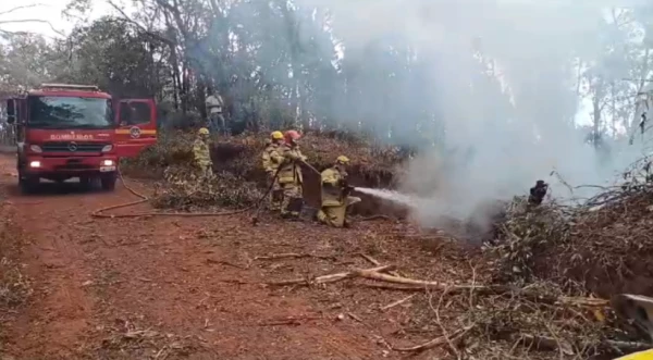 1728823831 43 piloto falece em queda de aviao em Minas Gerais familiares