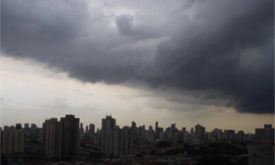 1News Brasil