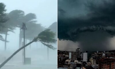 1News Brasil