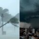1News Brasil