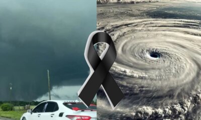 1News Brasil