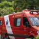 1News Brasil