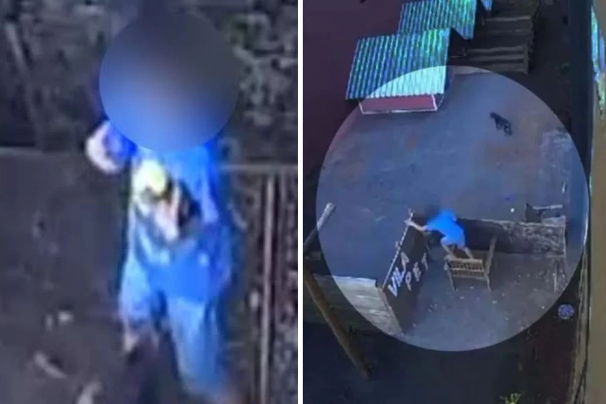 Menino de 9 anos invade clínica veterinária e tira a vida de mais de 20 animais 31 1News Brasil