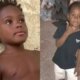 1News Brasil