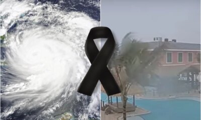 1News Brasil