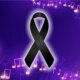 1News Brasil
