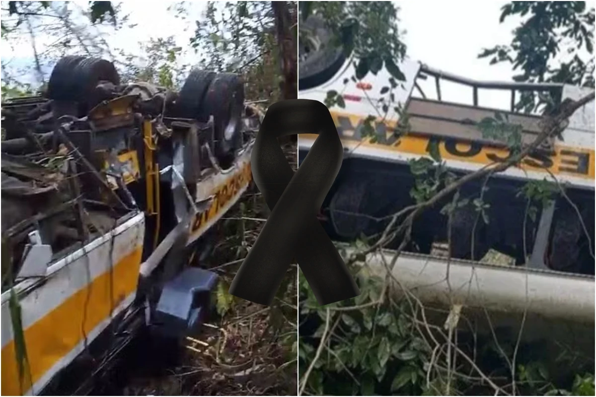 Acidente com ônibus escolar causa 17 óbitos em rodovia de Alagoas; há também muitos feridos 31 1News Brasil