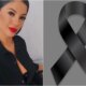 1News Brasil
