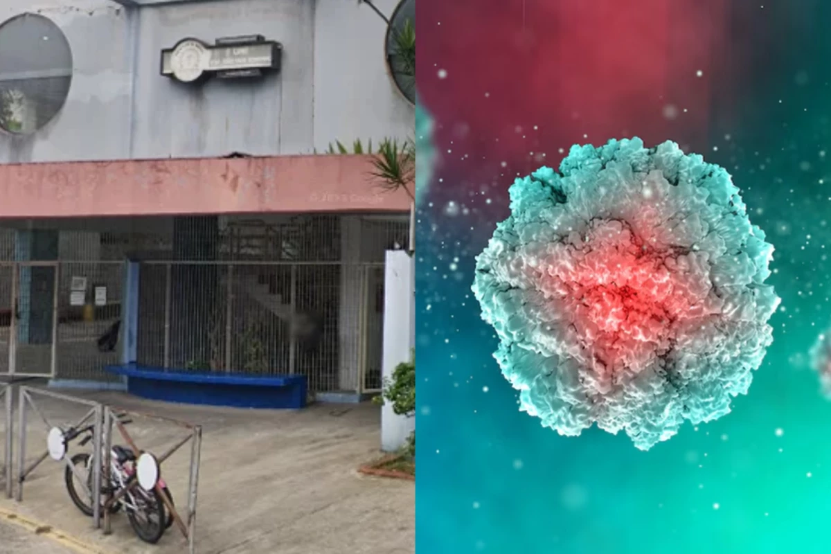Escola de SP toma medida urgente e suspende aulas após surto de doença altamente infecciosa 31 1News Brasil