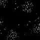 Mensagem cien.webp