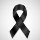 1News Brasil