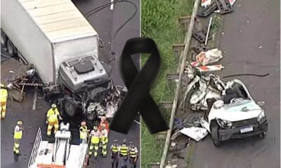 1News Brasil
