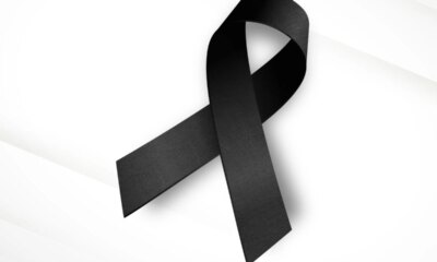 1News Brasil