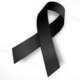 1News Brasil