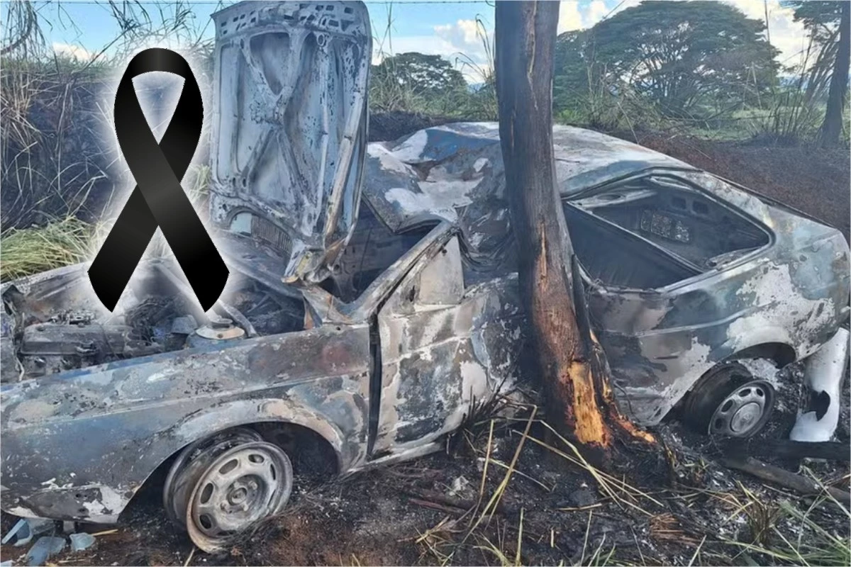 Cantor sertanejo perde a vida em grave acidente; o carro bateu em uma árvore e pegou fogo 34 1News Brasil