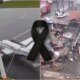 1News Brasil