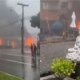 1News Brasil