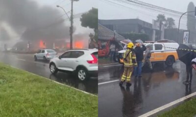 1News Brasil