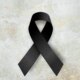 1News Brasil
