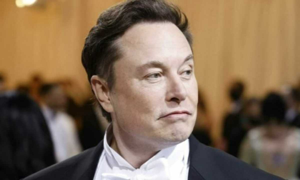 Provocação de Musk desencadeia crise em importante Jornal da Alemanha 31 design sem nome 3 12.jpg