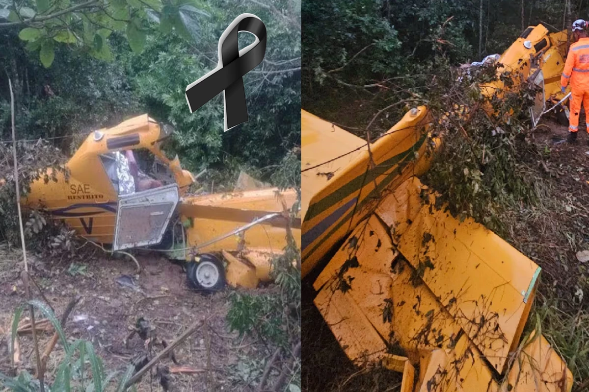 Avião cai em Minas Gerais e não deixa sobrevivente 31 1News Brasil